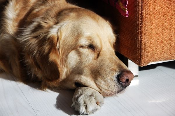 华体会体育hth官方网站