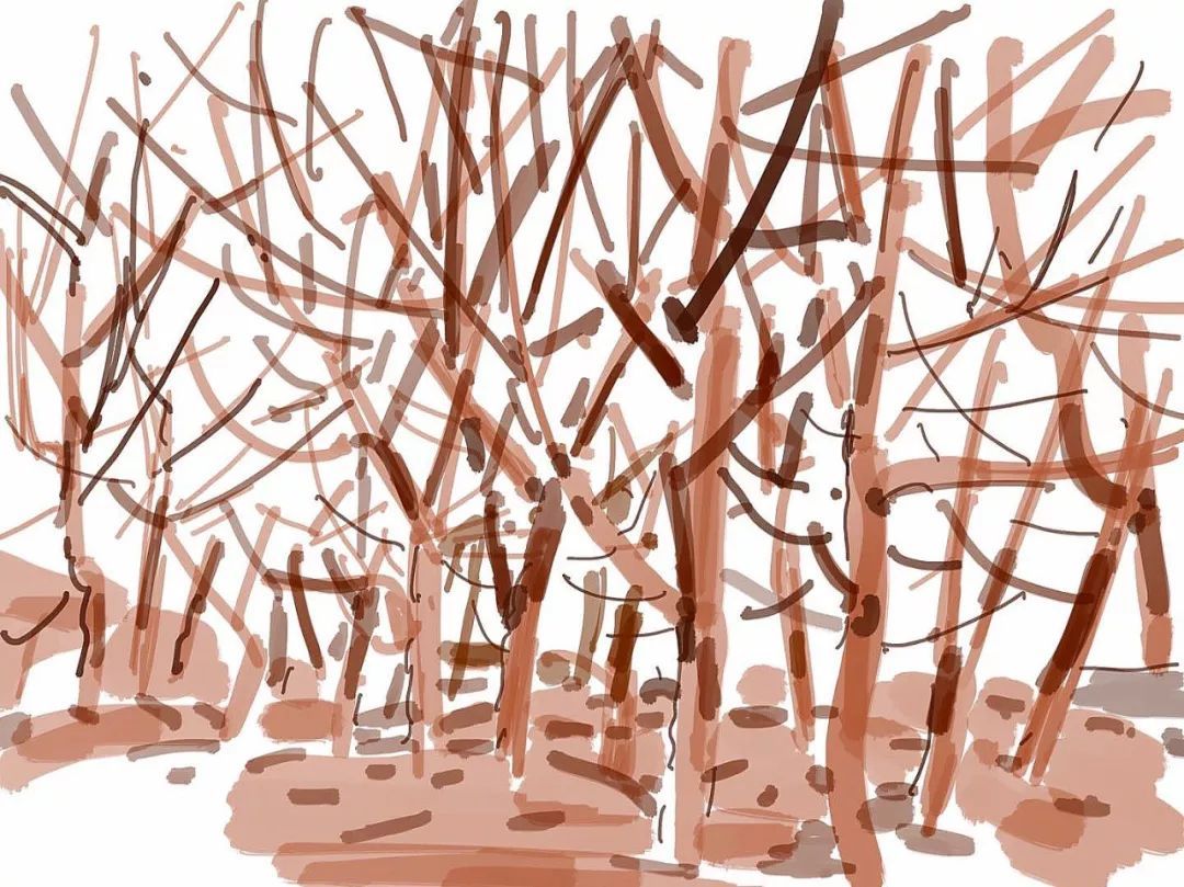 华体会体育hth官方网站