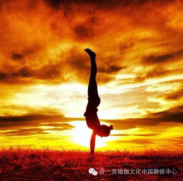 淘汰鸡多少钱一斤?端午节前会上涨?6月13日淘汰鸡价格行情【华体会体育hth官方网站】(图4) 华体会体育hth官方网站