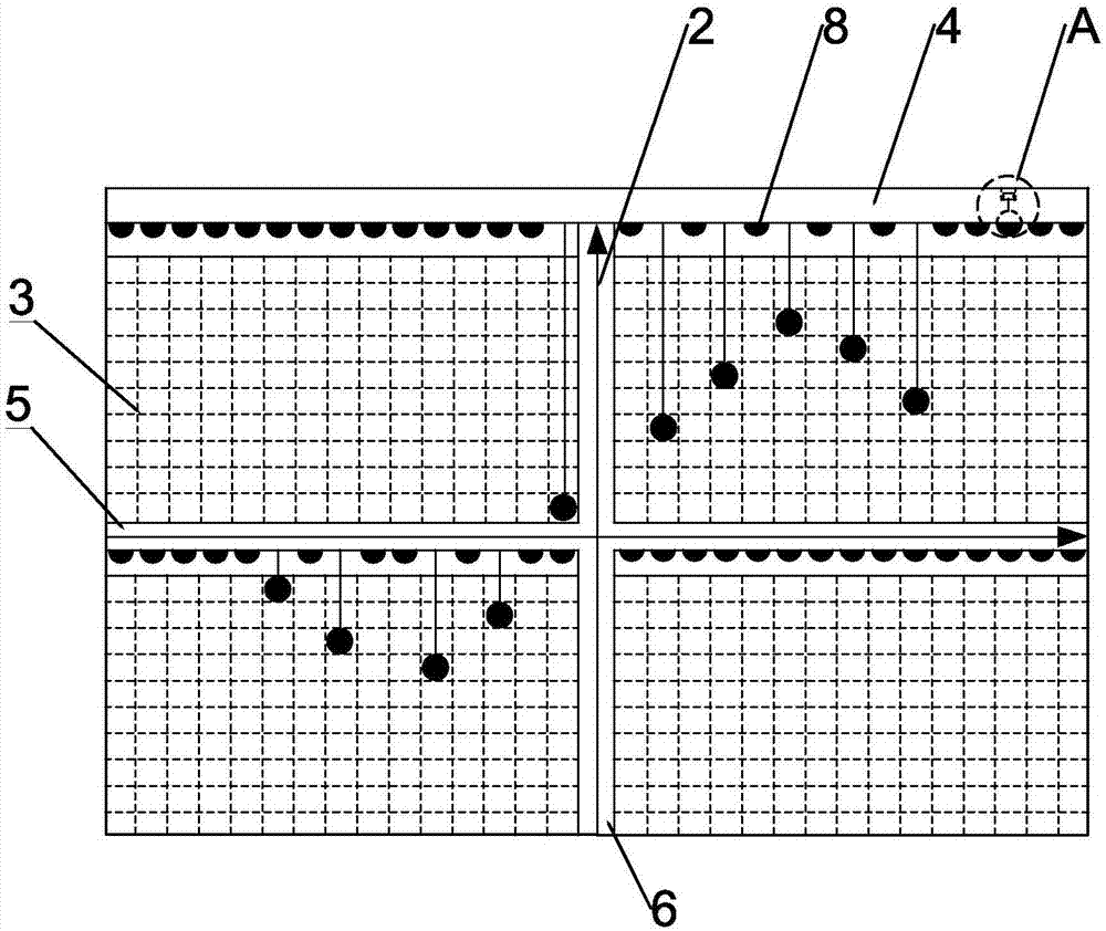 花生芽菜价格多少钱一斤?花生芽菜种植技巧有哪些?-hth官网入口(图1) hth官网入口