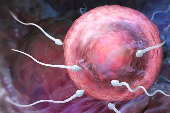 ‘华体会体育hth官方网站’
为什么女人在有身后 就不来月经了呢?“大姨妈”又去了那里呢?(图6) ‘华体会体育hth官方网站’
为什么女人在有身后 就不来月经了呢?“大姨妈”又去了那里呢?(图6)