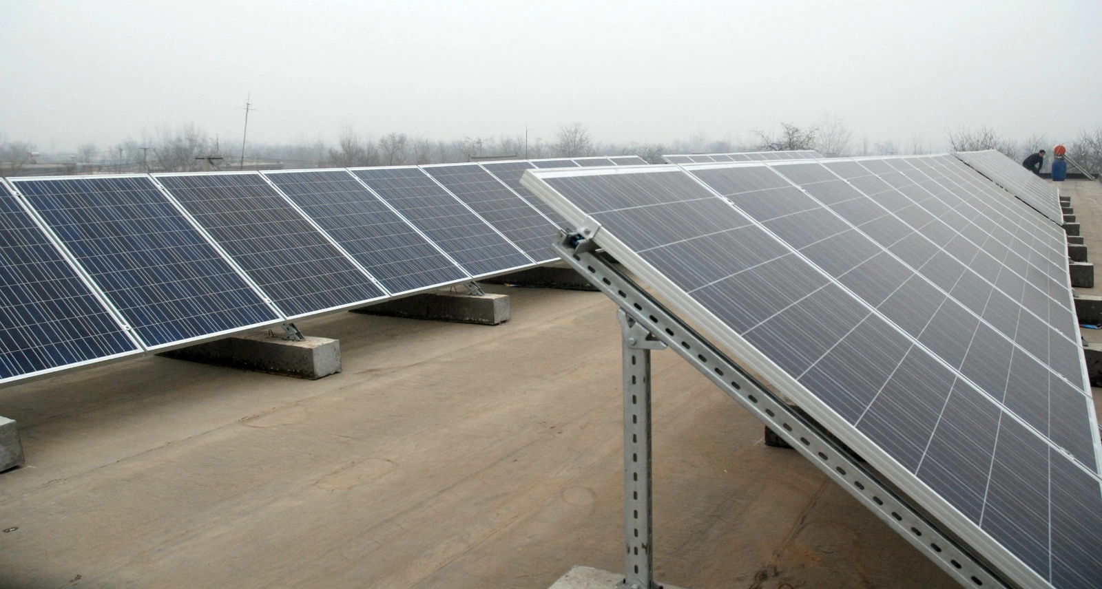 2019葱仔多少钱一斤?葱仔的种植时间及方法技术_华体会体育hth官方网站(图4) hth官网入口