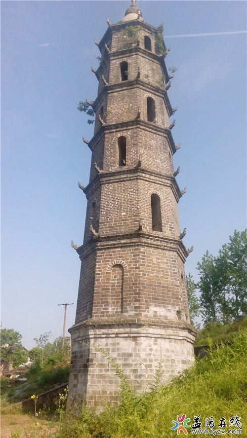 伍兹前妻艾琳·诺德格林提性丑闻事件:不会再结婚‘华体会体育hth官方网站’(图3) 华体会体育hth官方网站