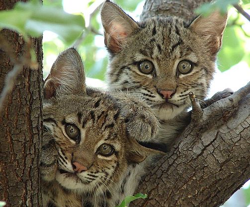 激活医保电子凭证 大奖等你来赢!_hth官网入口(图4) hth官网入口