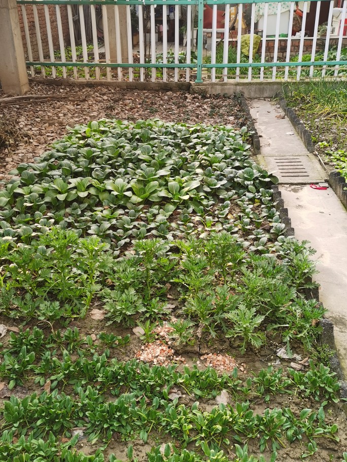 hth官网入口:水利部在四川都江堰灌区调研农田水利资产管理(图2) hth官网入口