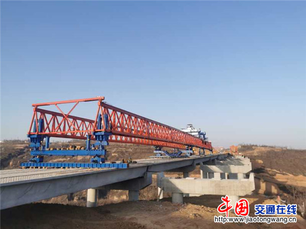 香樟价格多少钱一棵?香樟树的移栽技术介绍“hth官网入口”(图1) hth官网入口