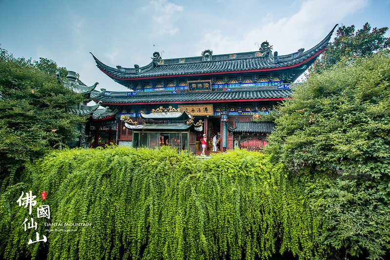 【华体会体育hth官方网站】葫芦岛玉米最新价格行情,玉米价格不乐观的原因分析(图1) 华体会体育hth官方网站