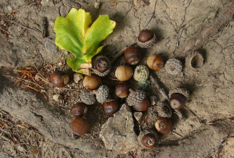 华体会体育hth官方网站-通报!17名干部被处置惩罚(图2) 华体会体育hth官方网站