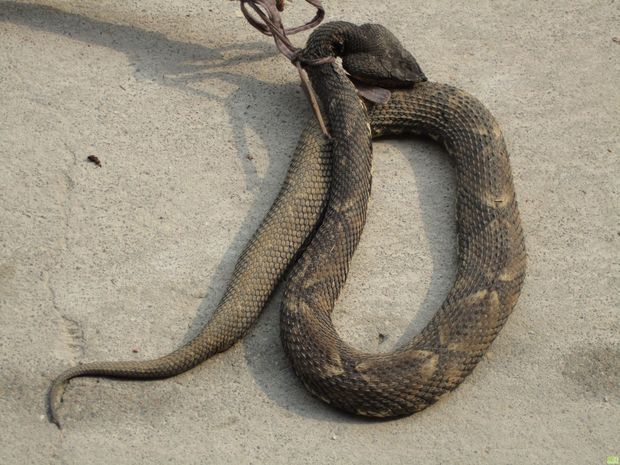 华体会体育hth官方网站