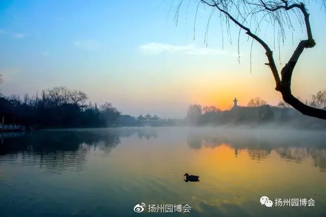 华体会体育hth官方网站