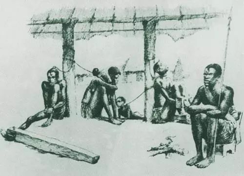 华体会体育hth官方网站