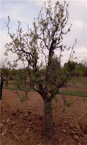 华体会体育hth官方网站