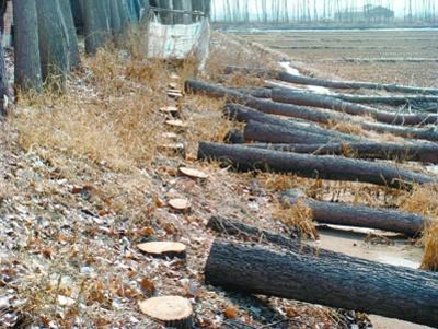 华体会体育hth官方网站