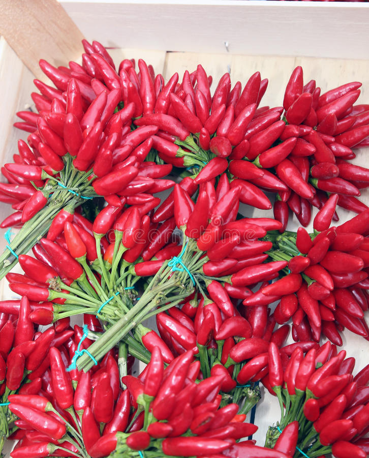 华体会体育hth官方网站