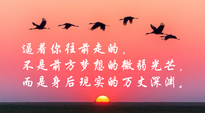 华体会体育hth官方网站