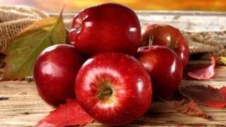 华体会体育hth官方网站