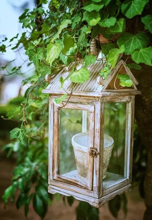 华体会体育hth官方网站